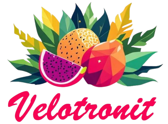 VelotronIT logo